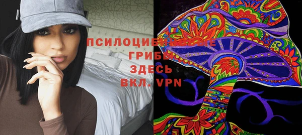 mdpv Арсеньев