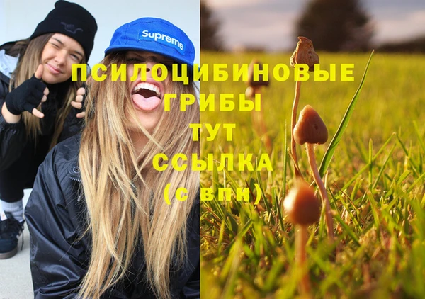 а пвп мука Армянск
