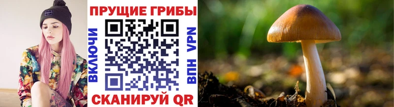 Галлюциногенные грибы ЛСД  mega зеркало  Татарск 